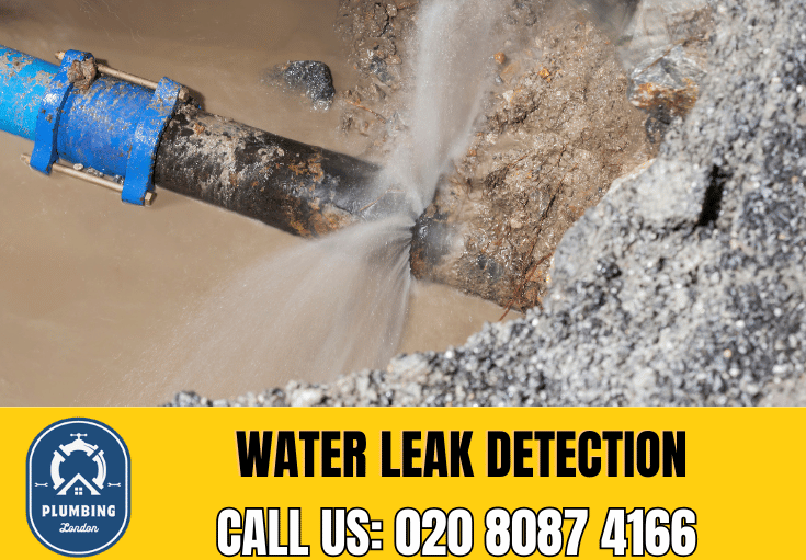 leak detection Kentish Town